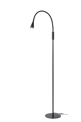 ZOZY LED Floor Lamp with Reading Lamp